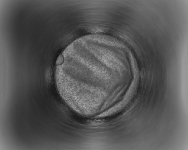 X0000089340359200707131516