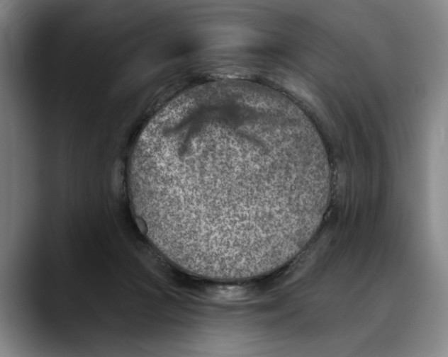 X0000089340361200707131516