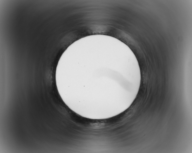 X0000089340362200707131516