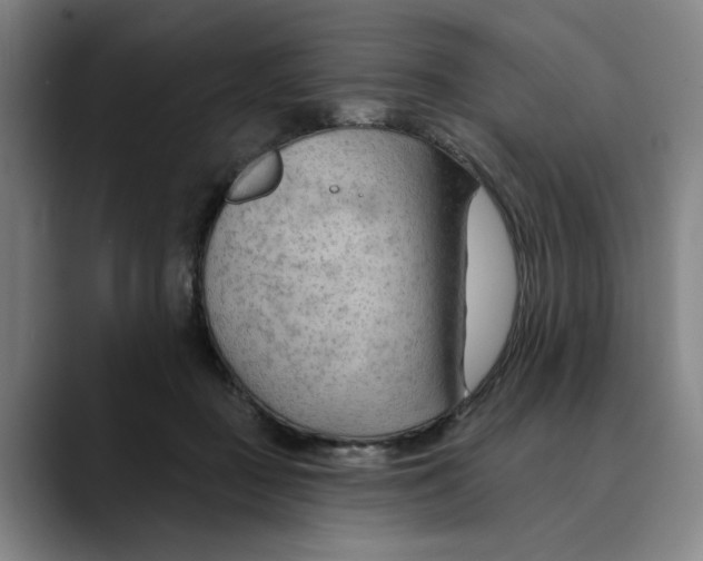 X0000089340363200707131516