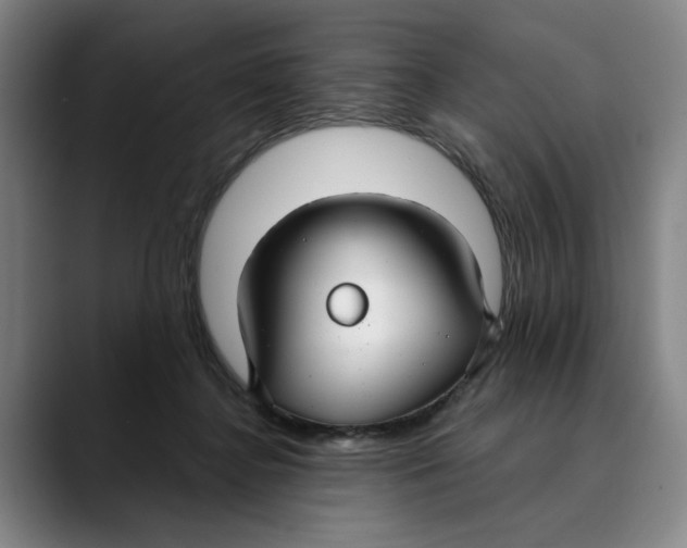X0000089340364200707131516