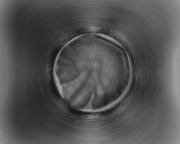X0000089340366200707131516