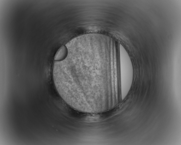X0000089340369200707131516