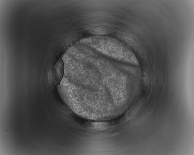 X0000089340371200707131516