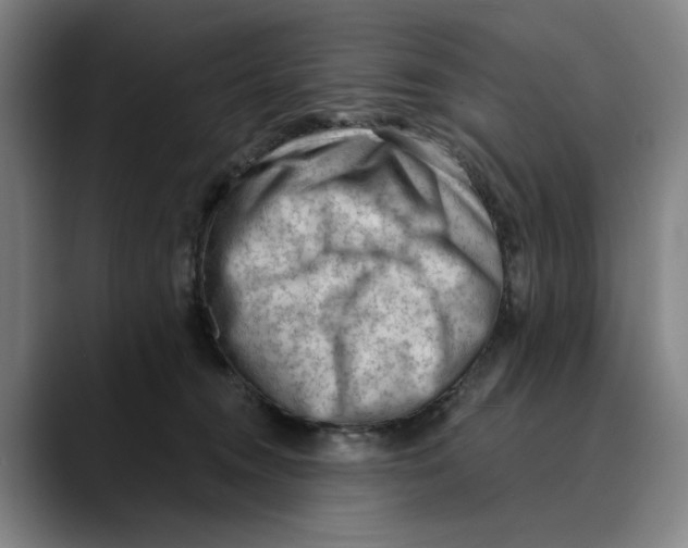 X0000089340372200707131516