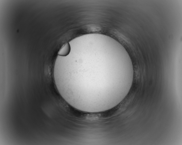 X0000089340373200707131516