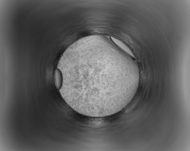 X0000089340377200707131516