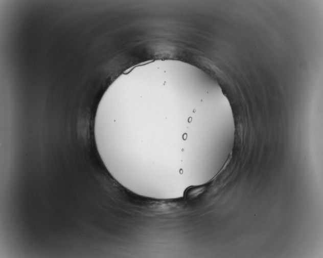 X0000089340379200707131516