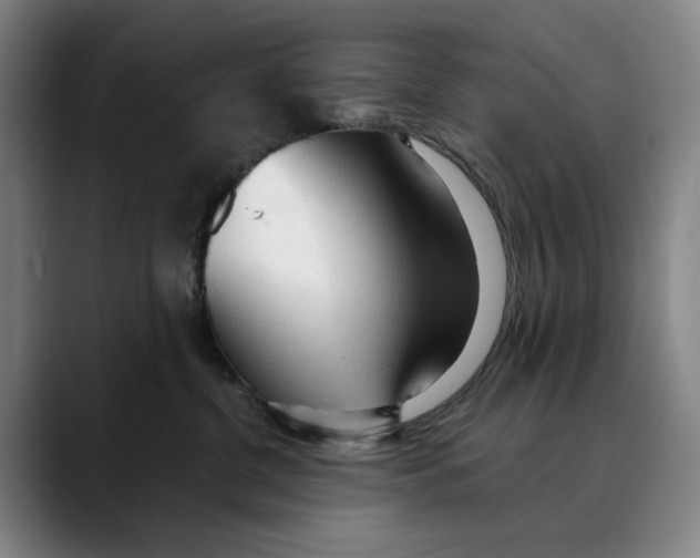 X0000089340380200707131516