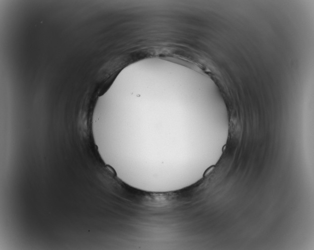 X0000089340381200707131516