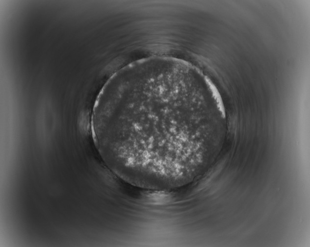 X0000089340383200707131516