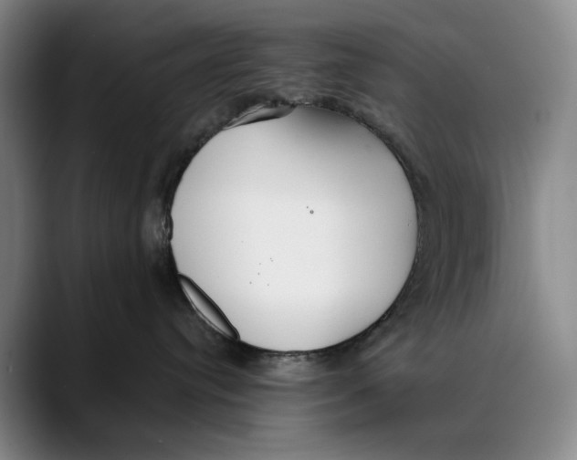 X0000089340384200707131516