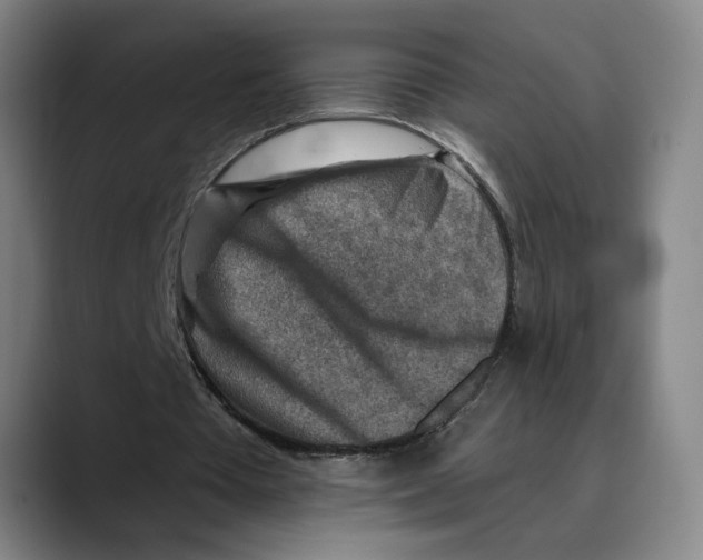 X0000089340385200707131516