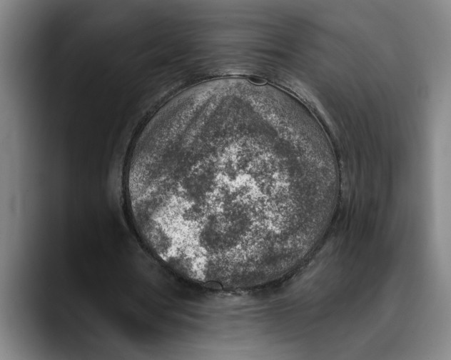 X0000089340386200707131516