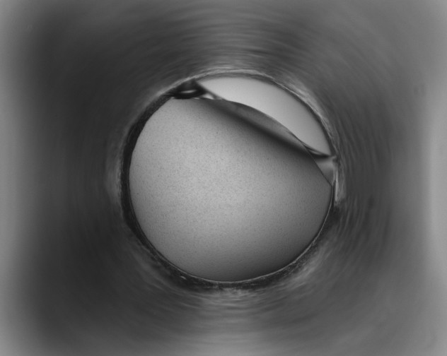 X0000089340387200707131516