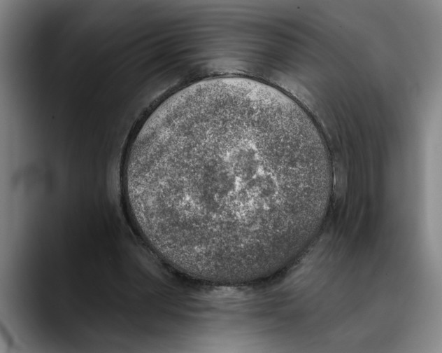 X0000089340390200707131516