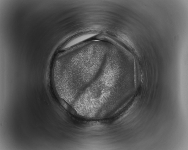 X0000089340392200707131516