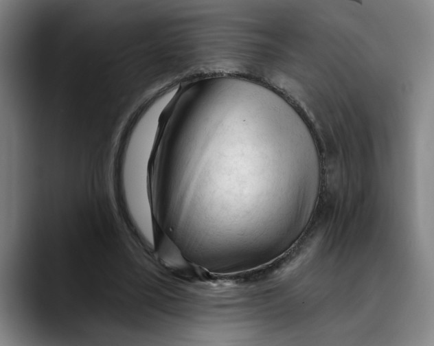 X0000089340395200707131516