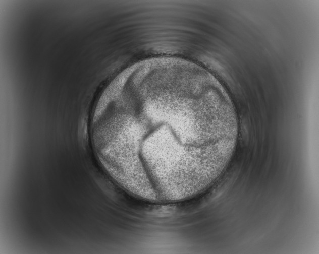 X0000089340398200707131516