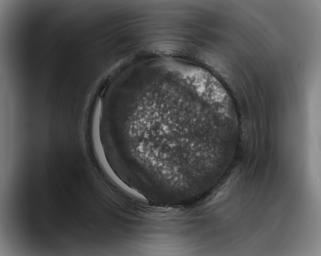 X0000089340399200707131516