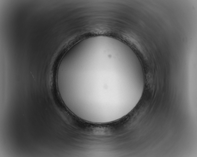 X0000089340400200707131516