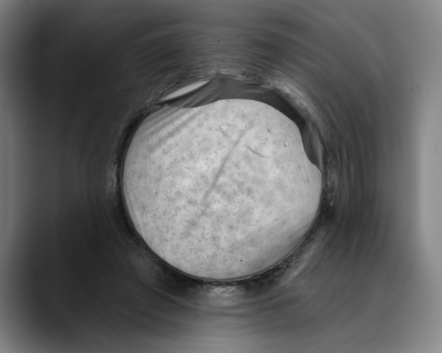 X0000089340401200707131516