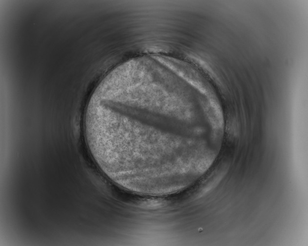 X0000089340402200707131516