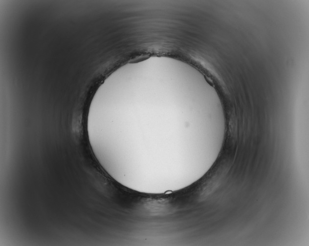 X0000089340403200707131516