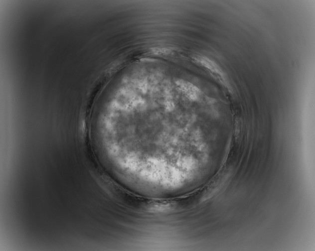 X0000089340405200707131516