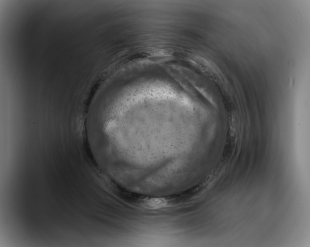 X0000089340409200707131516