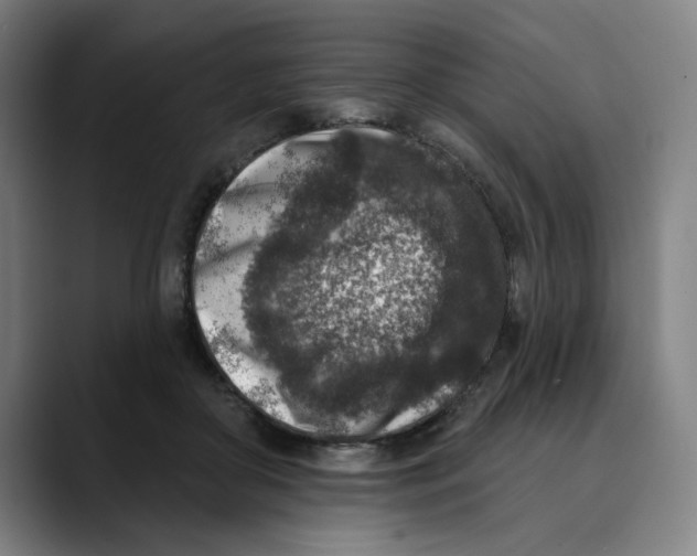 X0000089340410200707131516