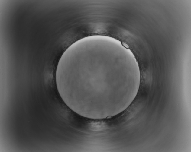 X0000089340415200707131516