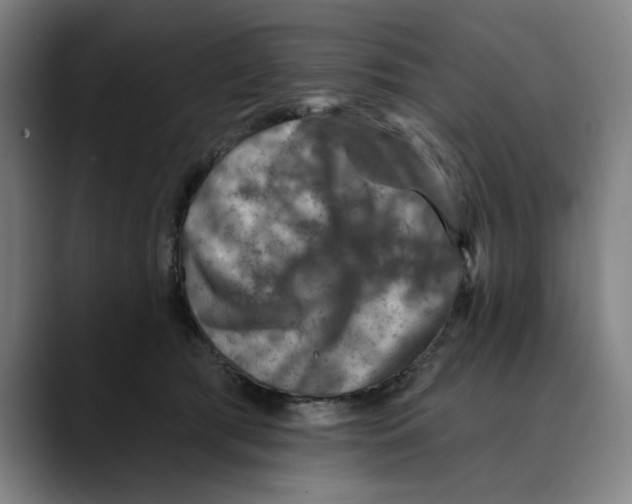 X0000089340417200707131516