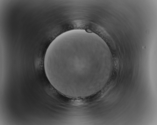 X0000089340419200707131516