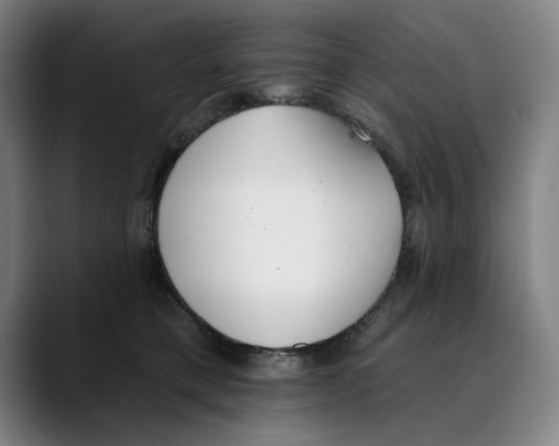 X0000089340421200707131516