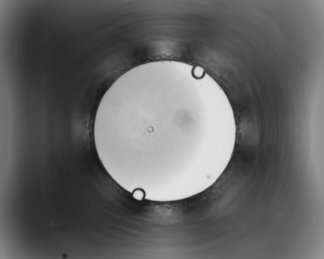 X0000089340423200707131515
