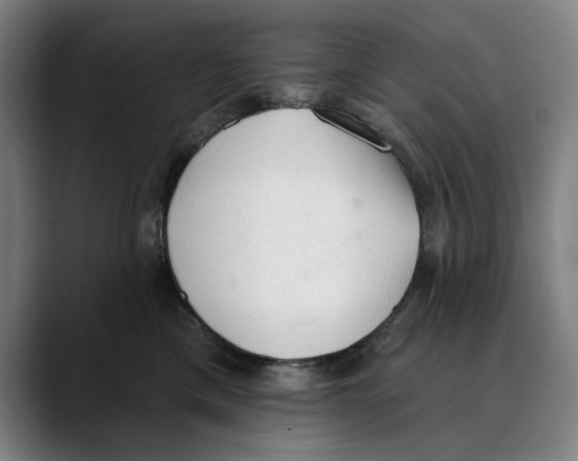 X0000089340425200707131515