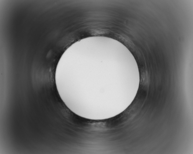 X0000089340426200707131515
