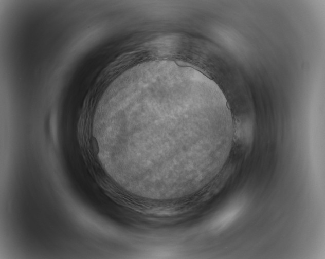 X0000089340431200707131515