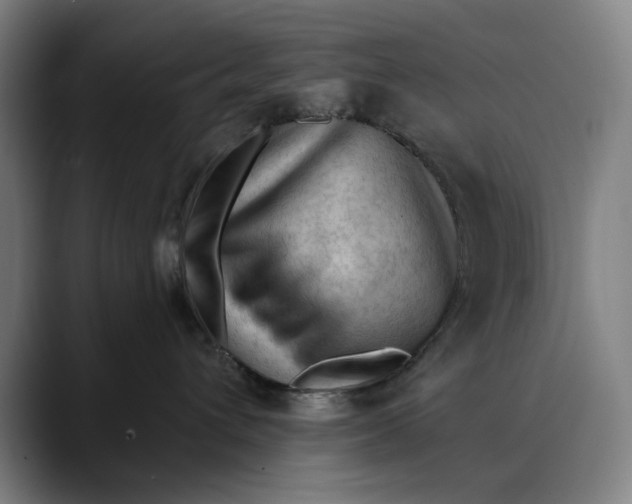 X0000089340432200707131515