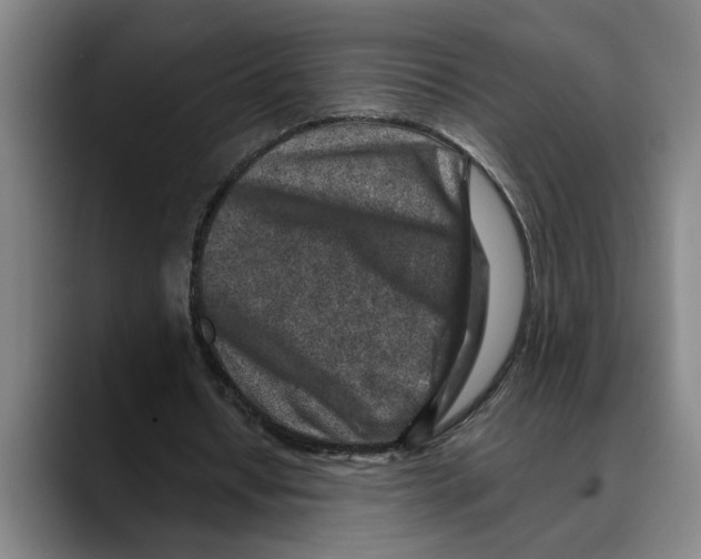 X0000089340434200707131515
