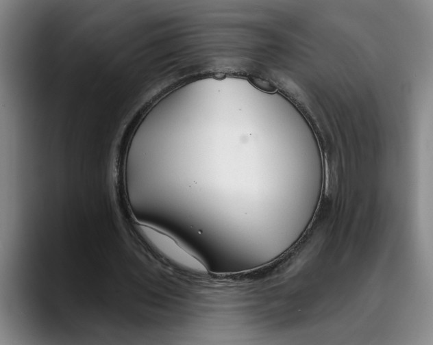 X0000089340435200707131515