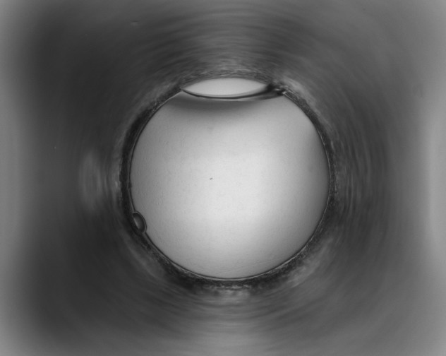 X0000089340443200707131515