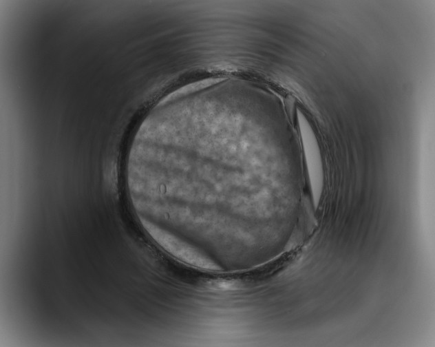X0000089340444200707131515