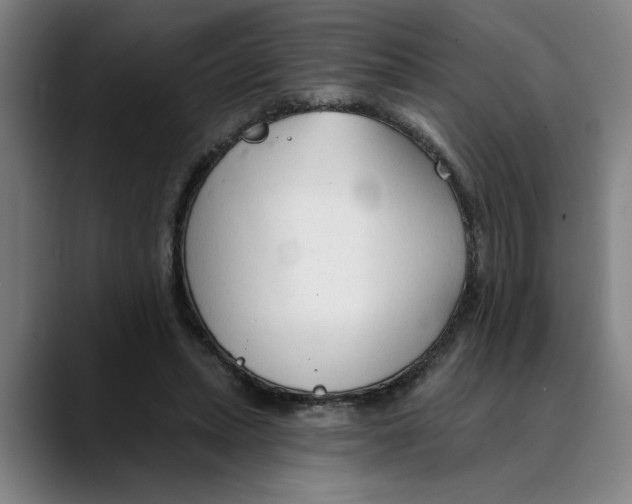 X0000089340447200707131515