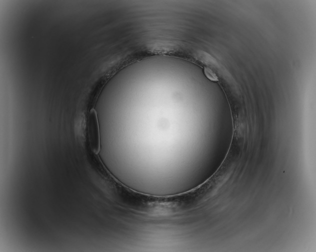 X0000089340448200707131515