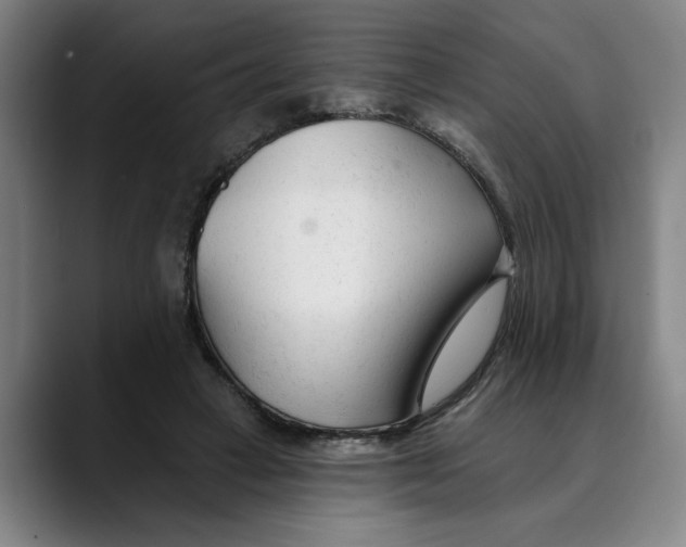 X0000089340449200707131515