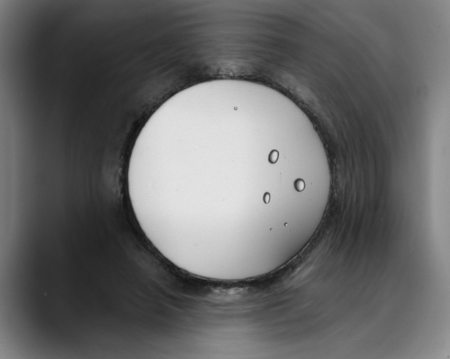 X0000089340450200707131515