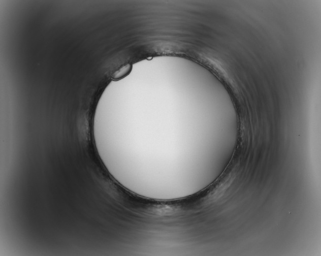 X0000089340453200707131515