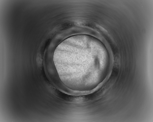 X0000089340456200707131515